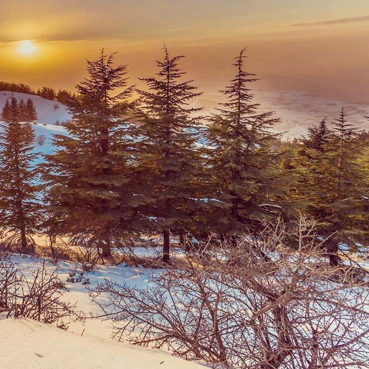 With every breath in there is a breath out.  With every apparent  sunset... (Shouf Biosphere Reserve)