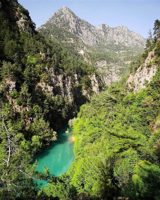 🇱🇧 Wonderful view of Adonis (Abraham or Ibrahim river), the god of love... (Chouwen)