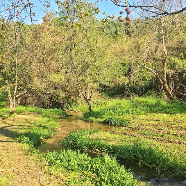 Wonderland (Jezzine District)