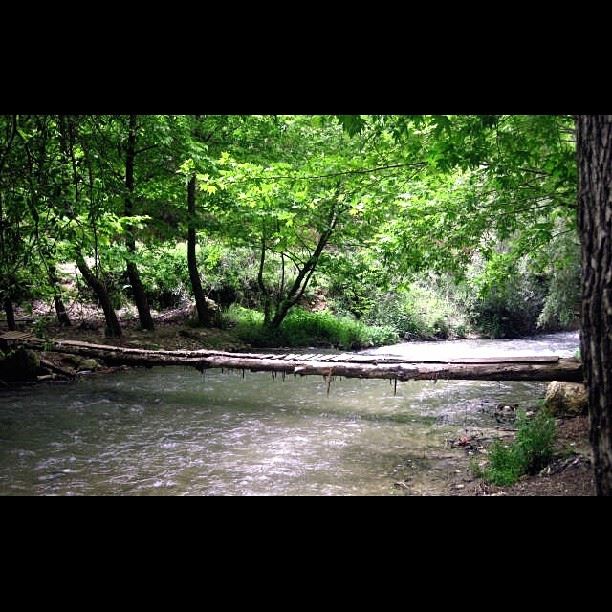 Wooden Bridge over the river  bridge  river  wood  insta_lebanon ...