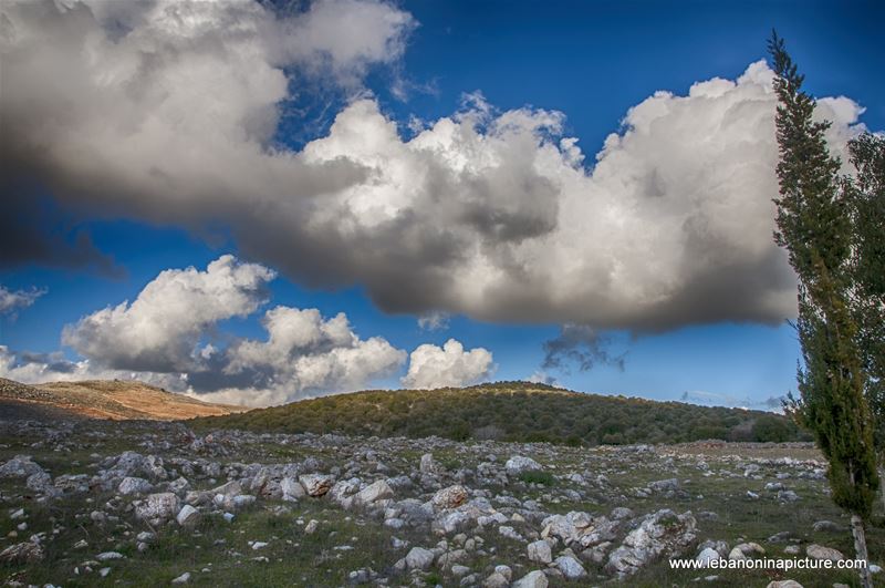 Yaroun Landscape (Yaroun, South Lebanon)