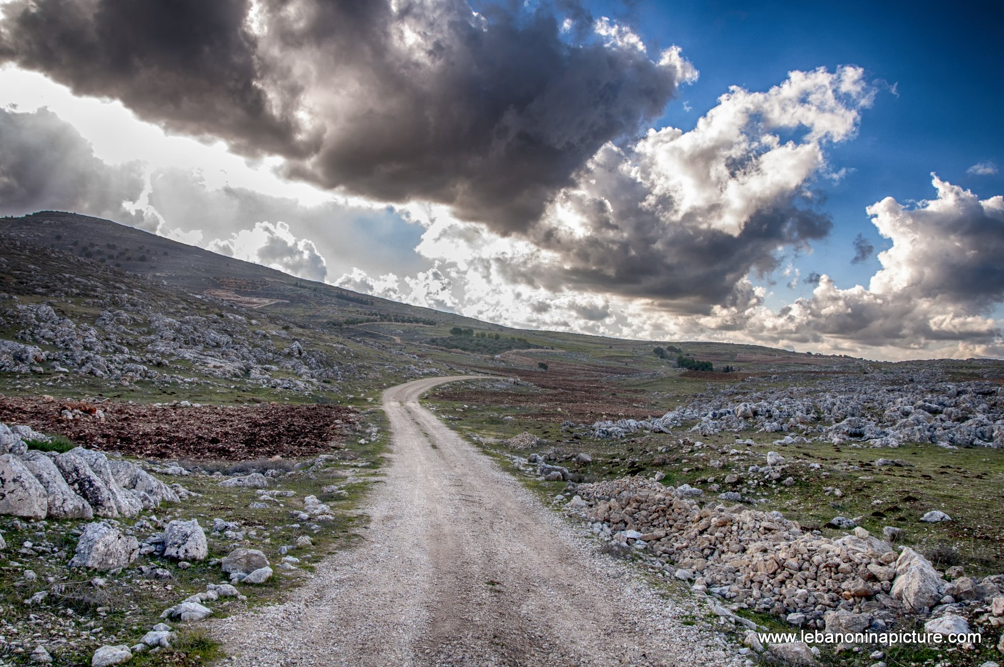 Yaroun Landscape (Yaroun, South Lebanon)