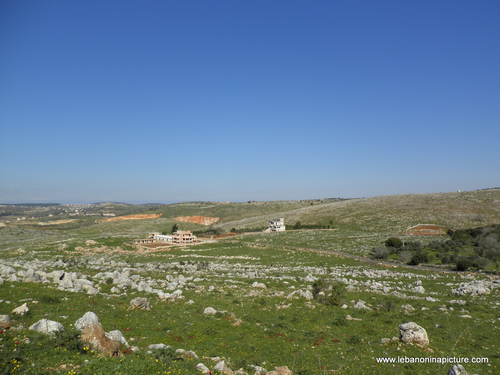 Yaroun's Beautiful Green Landscape (Spring 2011)