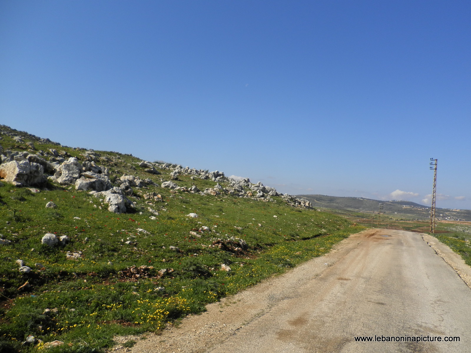 Yaroun's Beautiful Green Landscape (Spring 2011)