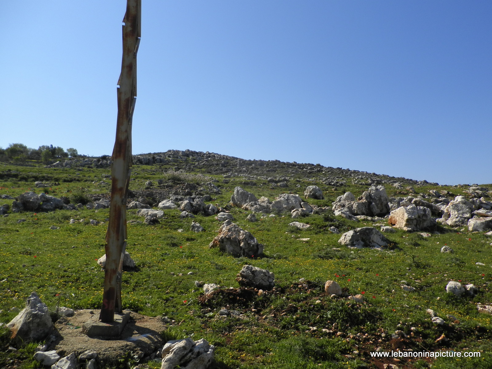 Yaroun's Beautiful Green Landscape (Spring 2011)