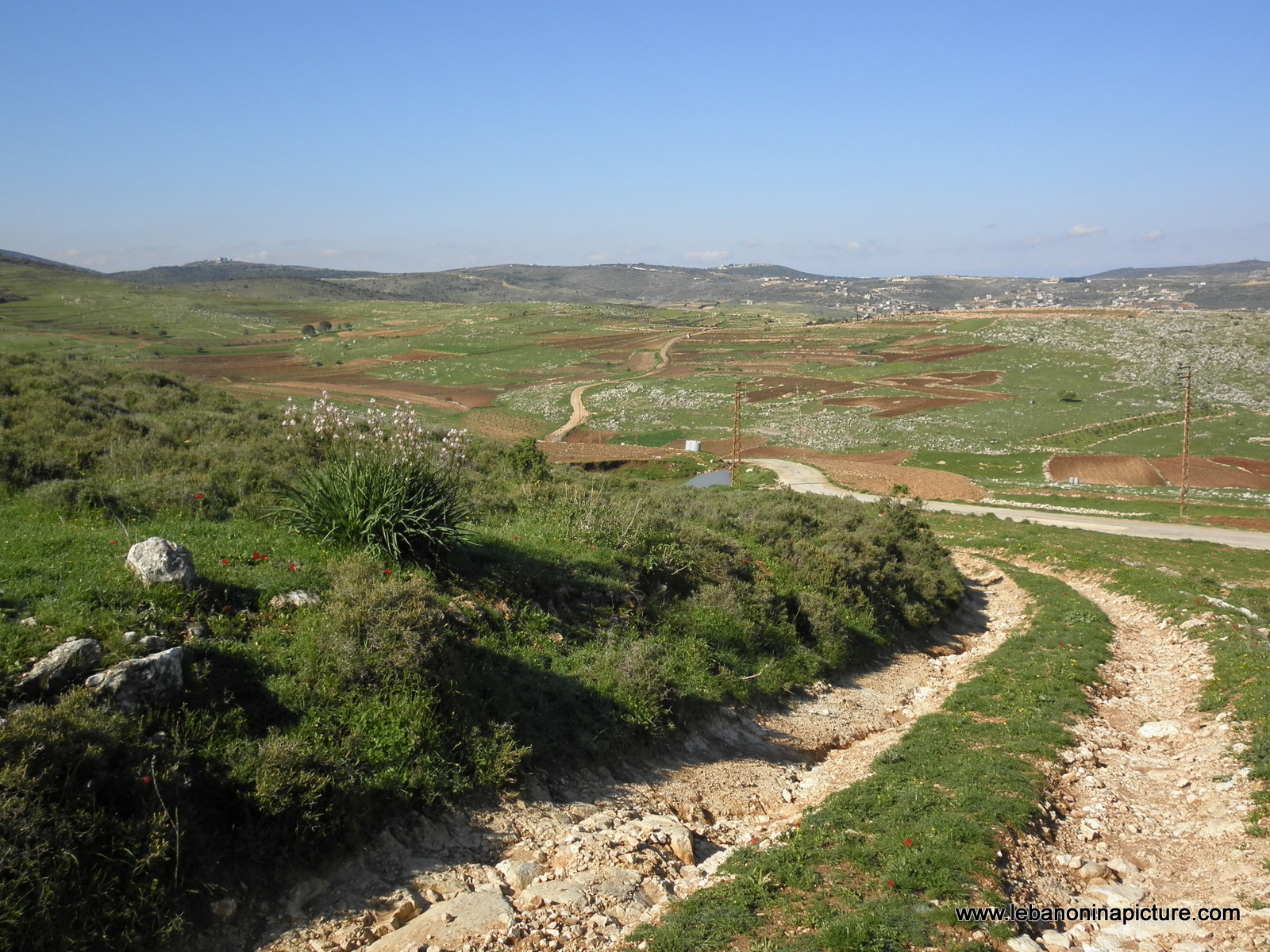 Yaroun's Beautiful Green Landscape (Spring 2011)