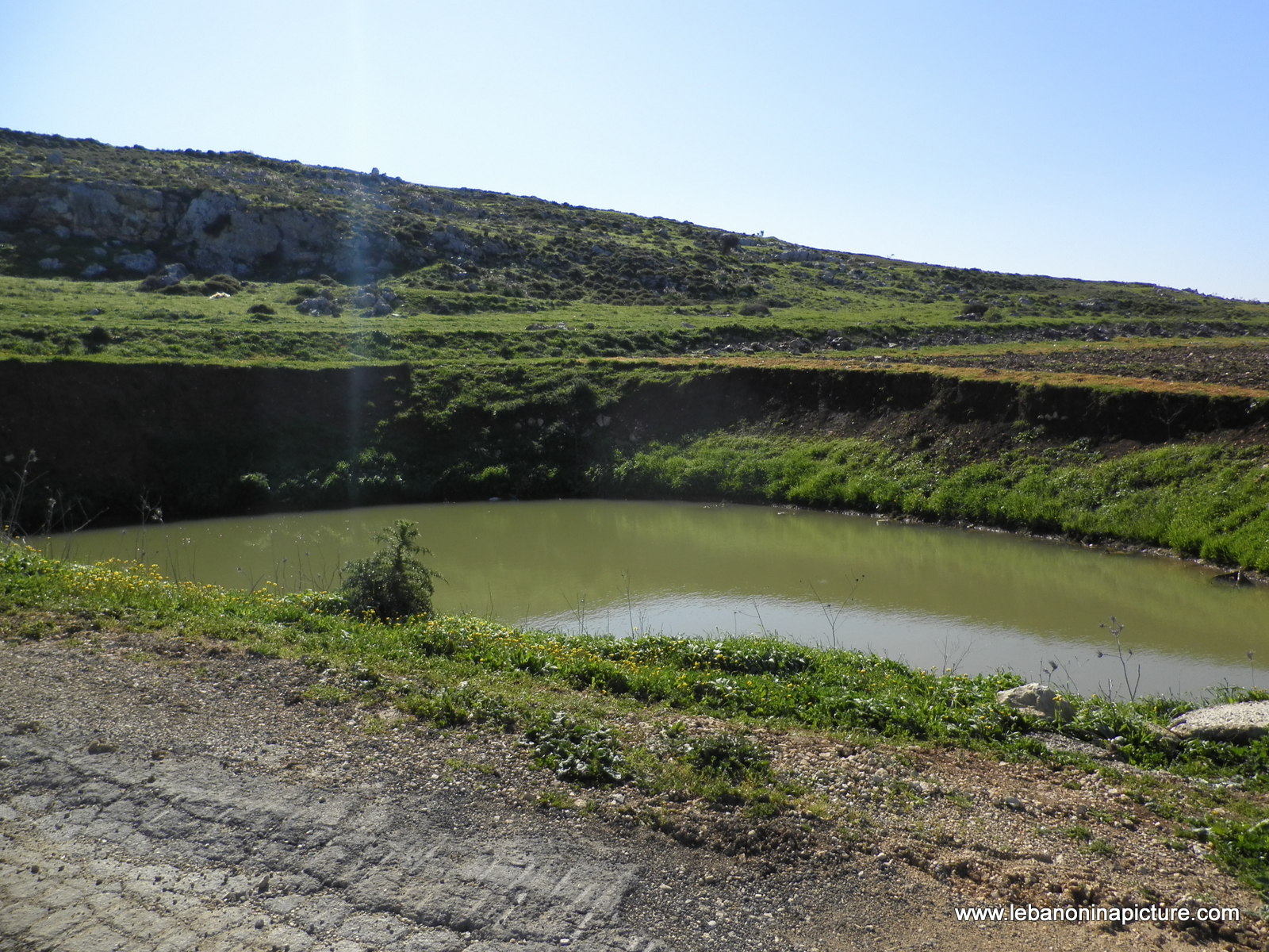 Yaroun's Beautiful Green Landscape (Spring 2011)