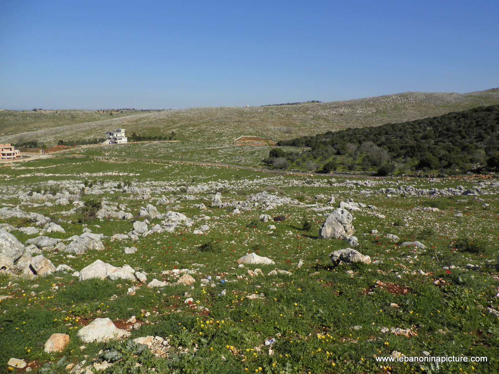 Yaroun's Beautiful Green Landscape (Spring 2011)