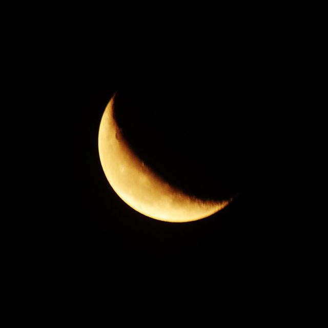  yellow  moon  lebanon  Dalhoun  nature  sky  night ...