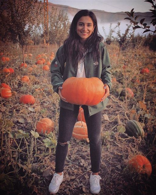 Yesterday's pumpkin picking 🎃 🍁🍂