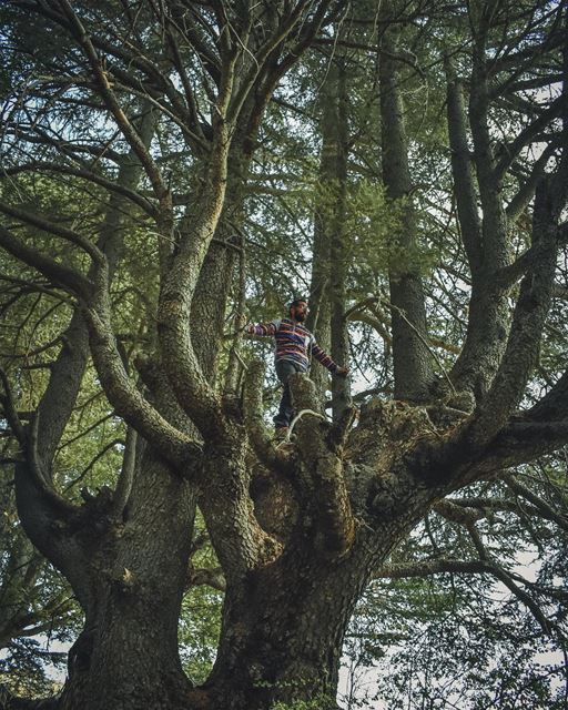 You can find me here on weekends 🌳🌳 (لبنان)