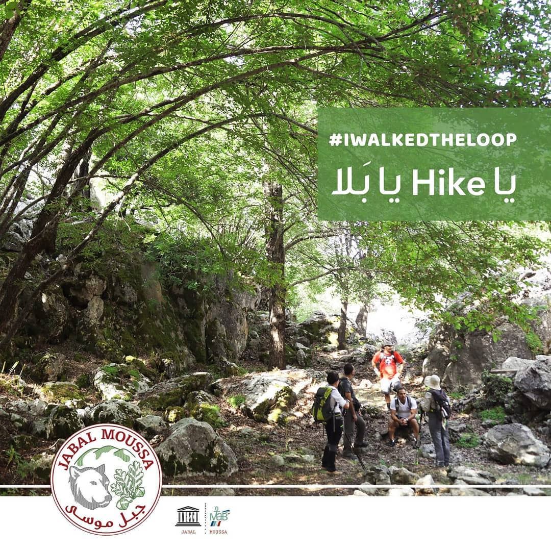 YOU TOO CAN WALK THE LOOP: call us at 09-643464 ; 71-944405 for more... (Jabal Moussa Biosphere Reserve)