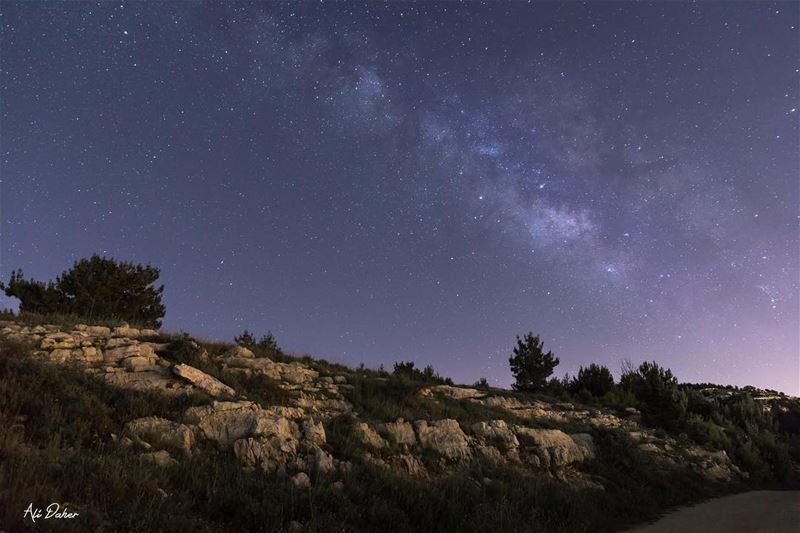 You weren’t just a star to me, you were my whole damn sky 🌌 ...... (Niha, Al Janub, Lebanon)