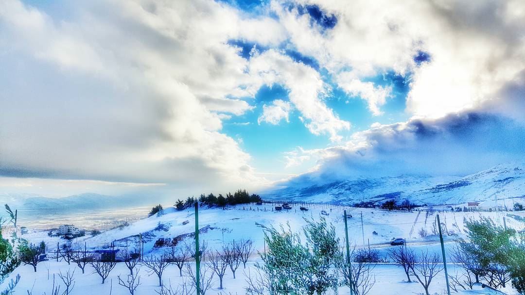  Zahle  zahlelebanon  snow  2016  tree  like4like  follow4follow  followme... (Dhour Zahle)