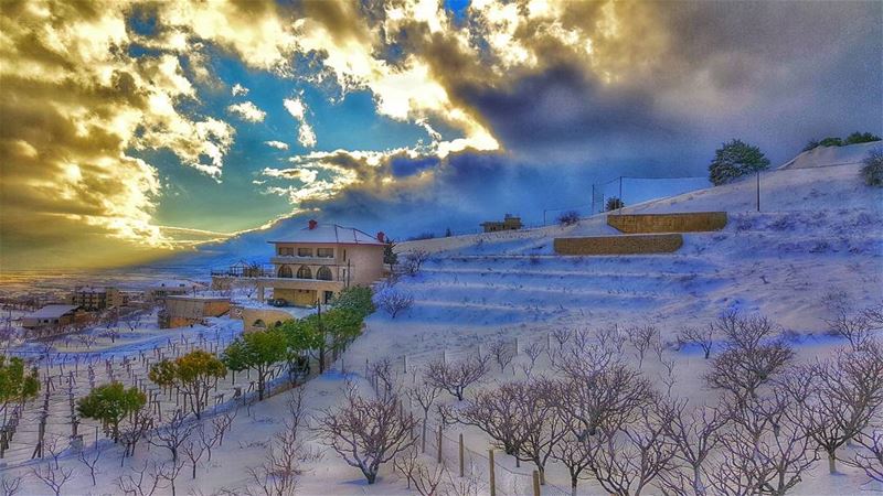  Zahle  zahlelebanon  snow  2016  tree  like4like  followforfollow ... (Dhour Zahle)