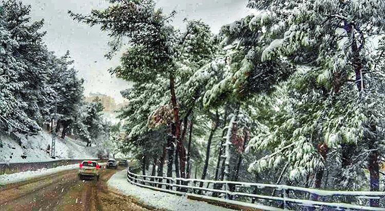  Zahle  zahlelebanon  snow  2016  tree  like4like  followforfollow ... (Zahlé, Lebanon)