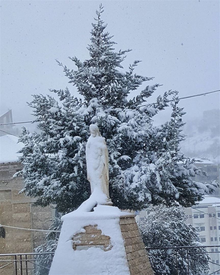  Zahle  zahlelebanon  snow  jesus  2016  blessed  tree  like4like ... (Zahlé, Lebanon)