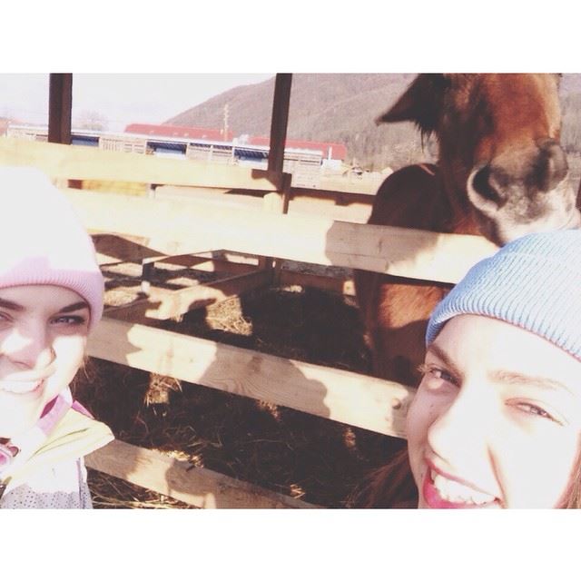 Селфи с лошадью) Кажись, эта лошадка что-то задумала😂😂😂 @alenkagl
