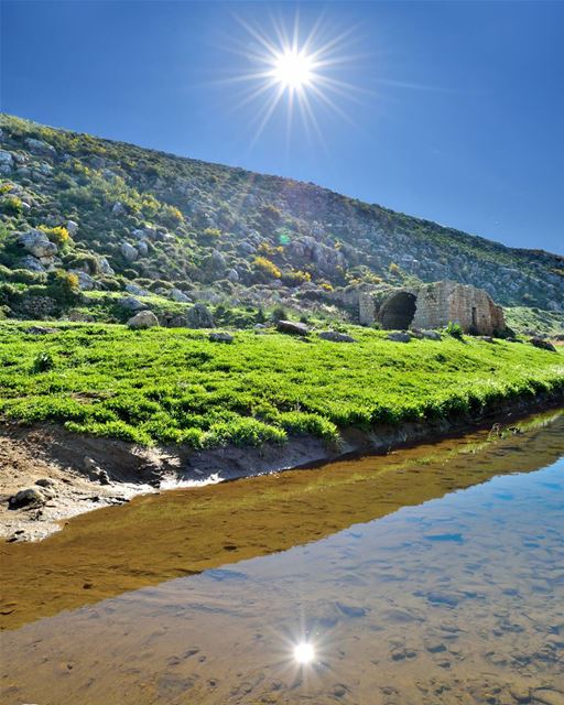 أسعد الله صباحكم بكل خير من  حومين_الفوقا  nature  naturelebanon ...