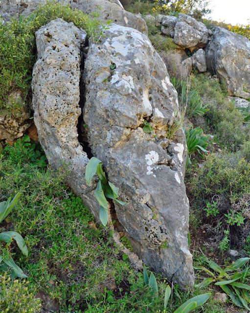 أسعدتم مساءا ☺ nature  rock  lebanonature  lebanon  southlebanon ...