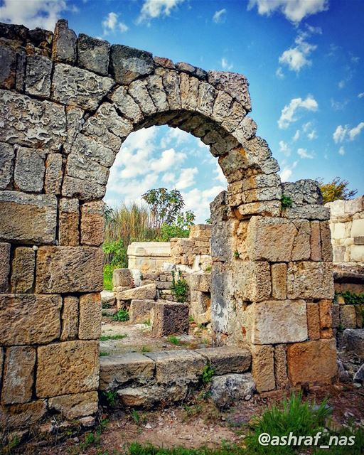 إذهب عميقاً في دميوإذهب عميقاً في الطحين...لنصاب بالوطن البسيطوبإحتمال ا (Roman ruins in Tyre)