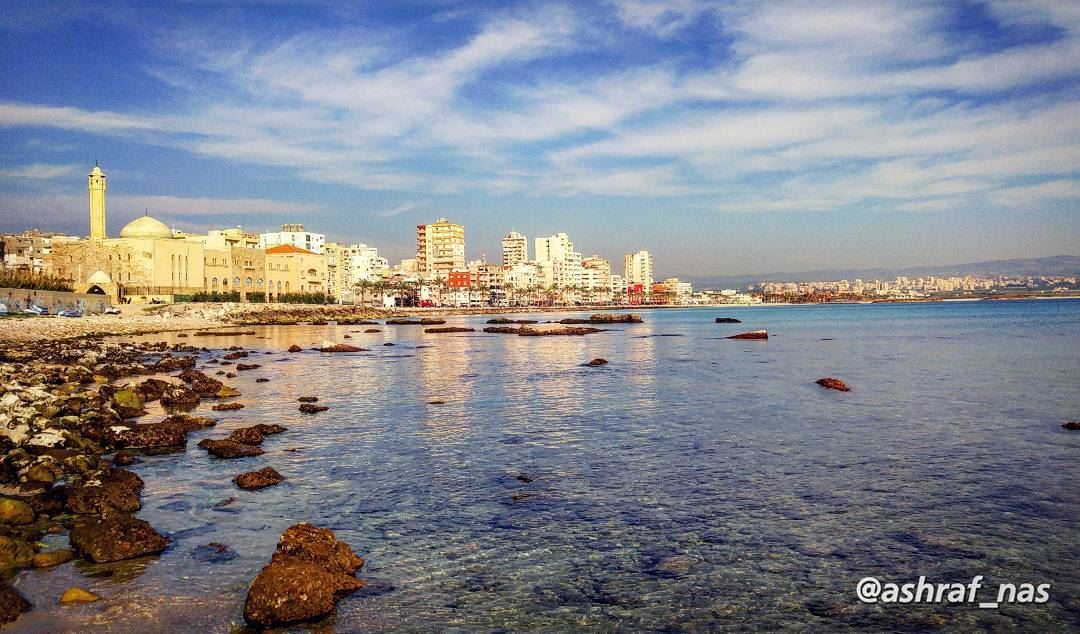 إني اخترُتك يا وطنيحُبّا وطواعية...إني اخترتك يا وطنيسِراً وعلانية...... (Tyre, Lebanon)