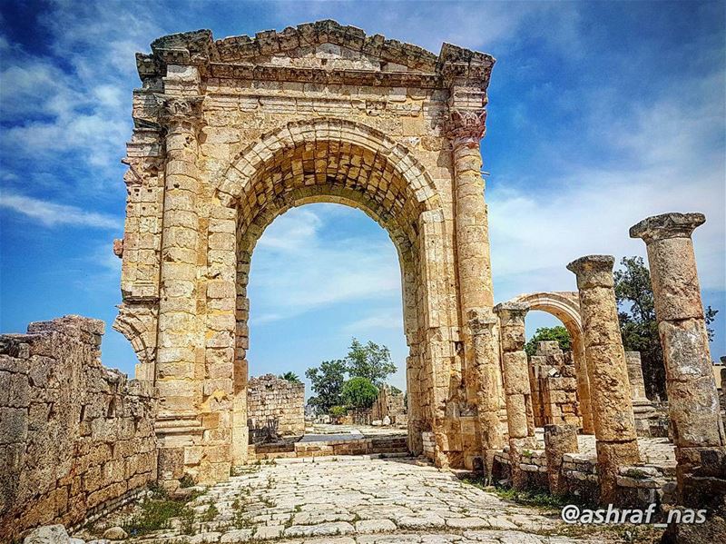 إني اخترُتك يا وطنيحُبّاً وطواعية...إني اخترتك يا وطنيسِراً وعلانية...إ (Roman ruins in Tyre)