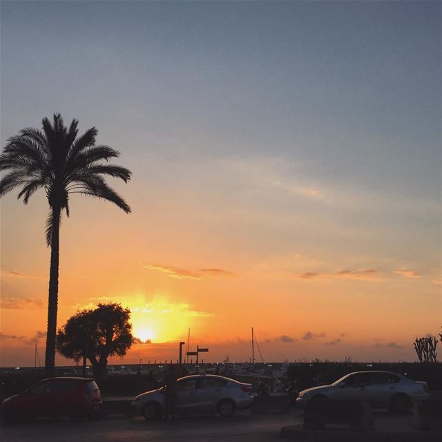 اشتقتلك يا بلدي❤️🇱🇧 (Zaitunay Bay)