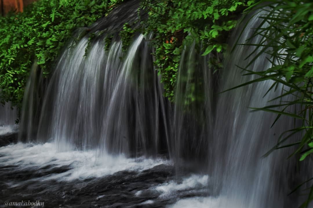 اعطِ دوما دونما تذكر،، وخذ دونما نسيان.. .... lebanon  photography ... (Hasbaya District)