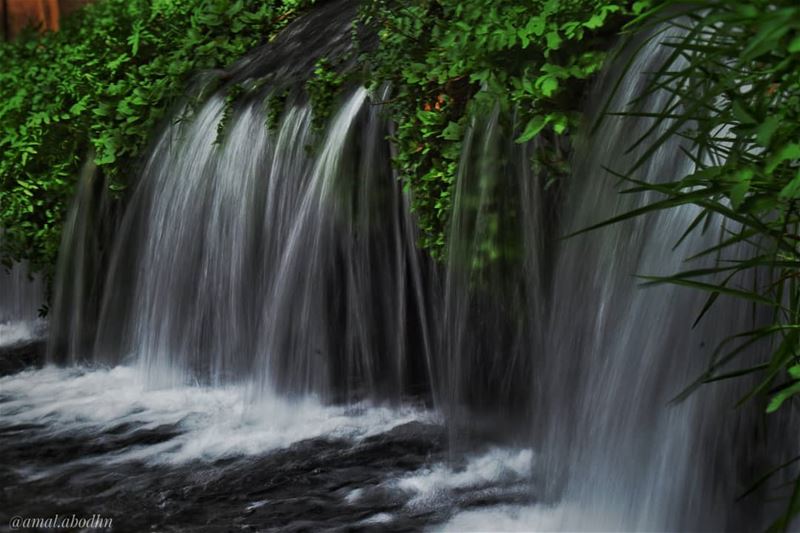 اعطِ دوما دونما تذكر،، وخذ دونما نسيان.. .... lebanon  photography ... (Hasbaya District)