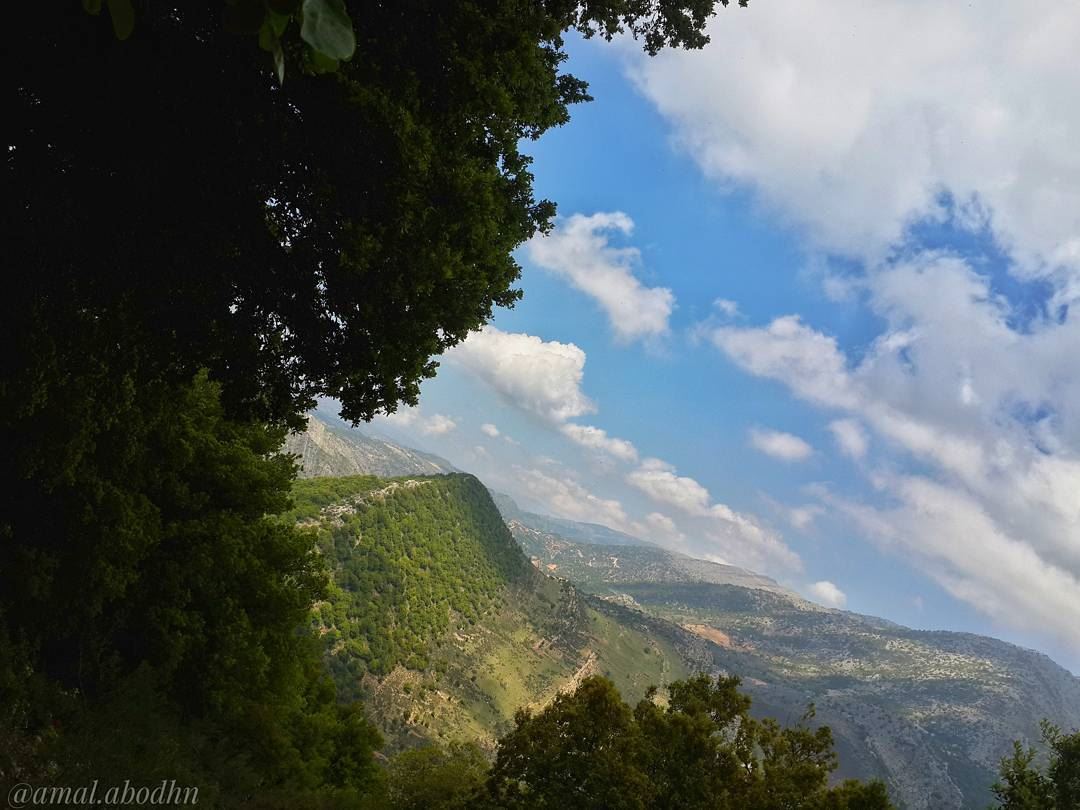 الشجرة لا تحجب ظلها حتى عن الحطاب 👌👌 lebanon  photography ... (نيحا الشوف)