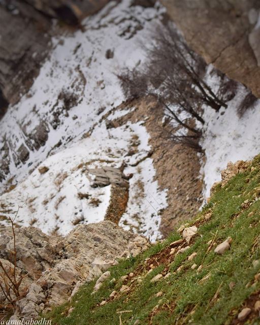 العواصف والثلوج تفني الزهور ولكنها تُحيي بذورها 👌 lebanon  photography ... (Kfardebian,Mount Lebanon,Lebanon)