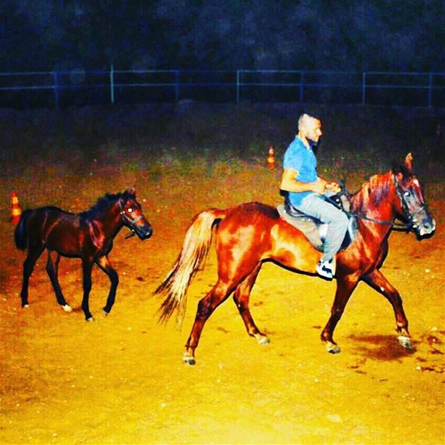 الفرس بدها خيالا 🏇🏇 (Enn Namoura, Mont-Liban, Lebanon)