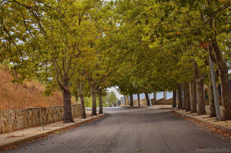 المواطنون والأرصفة يعرفون جيداً،، ان الذي يداس ليس بالضرورة شارعاً 👌👌 ... (Sawfar, Mont-Liban, Lebanon)