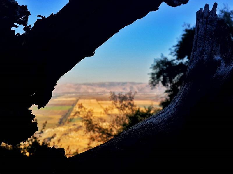 ان العالم يفسح الطريق للإنسان الذي يعرف إلى اين هو ذاهب 👌 📷 🍃 🌳 🌸 ...