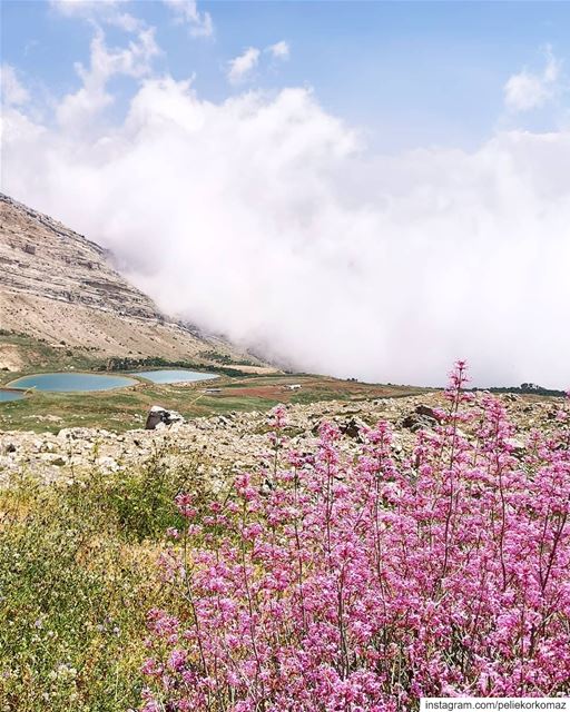 بحيرات العاقورة (Akoura, Mont-Liban, Lebanon)