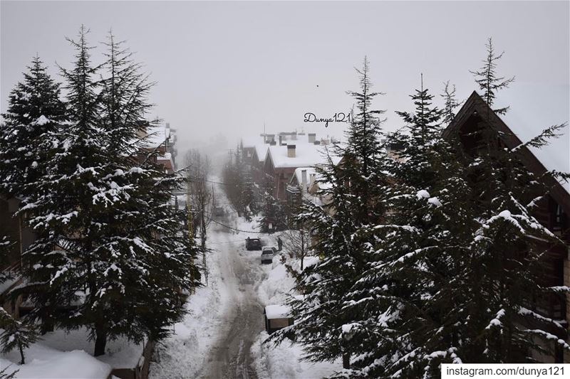 ‏ بعد الغياب،‏ستجد كُل شيء يذكرك فيني .. ولن تجدني ! لبنان بيروت جبل طبيع (Beirut, Lebanon)