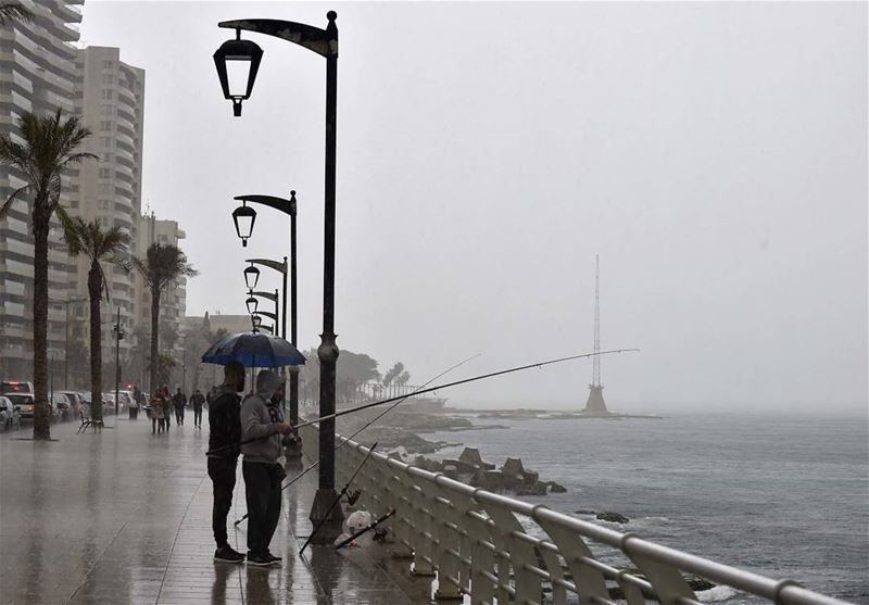  بيروت تحت المطر  لبنان Lebanon  Beirut  winter  insta  instalebanon ...