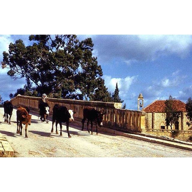 بيروت جسر الباشا وكنيسة مار الياس عام ١٩٥٠ ، 