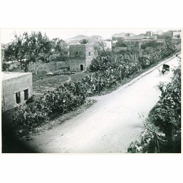 بيروت شارع الحمرا عام ١٩٠٠ ،