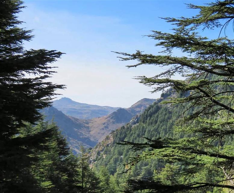 جبلنا بدمنا ترابو جبلنا مهما الدهر غضباتو جبلنامنبقى هون ما منترك جبلنات (Hadeth El Joubbe, Liban-Nord, Lebanon)