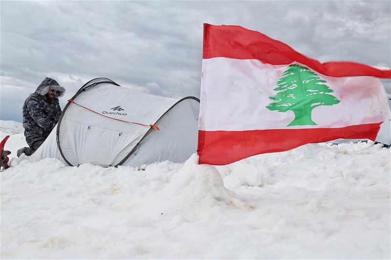 جذورها بالأرضو رأسها بالسماء (Cedars of God)