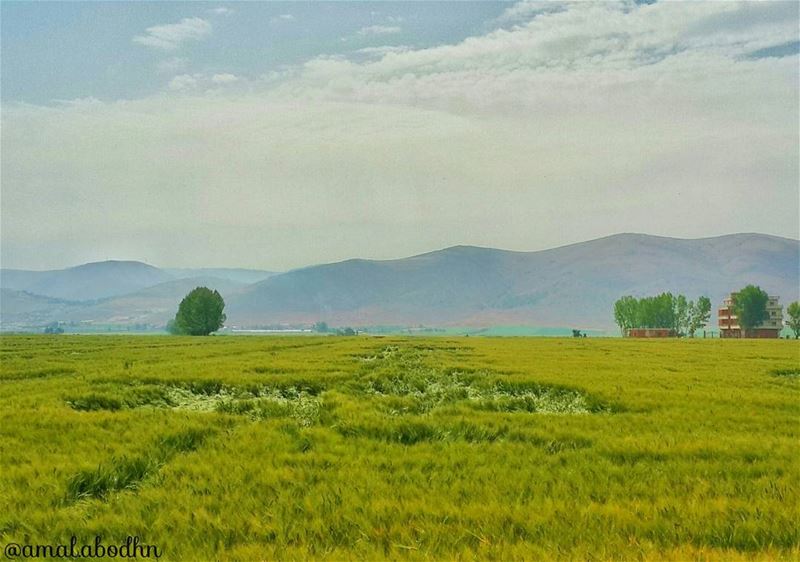 👌📷🍃جَمَالُ الحَيَاةِ يَكَمُنُ فِيْ تَنَوعِ الألْوَانْ ، فلا تُحُاوِل أن... (Beqaa Valley)