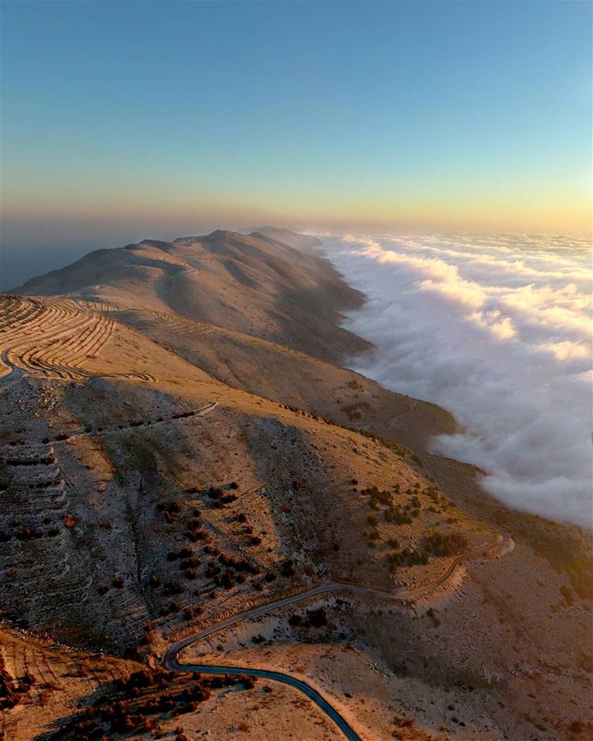 حبة من ترابك بكنوز الدنيا 💙🌲💙 4/1-------------------------------------- (Al Shouf Cedar Nature Reserve)