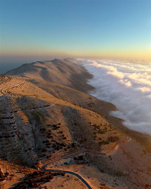 حبة من ترابك بكنوز الدنيا 💙🌲💙 4/1-------------------------------------- (Al Shouf Cedar Nature Reserve)