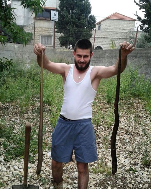 حد الحية فروش ونام وحد العقرب ما تقرب 🐍🐍... (Châmât, Mont-Liban, Lebanon)