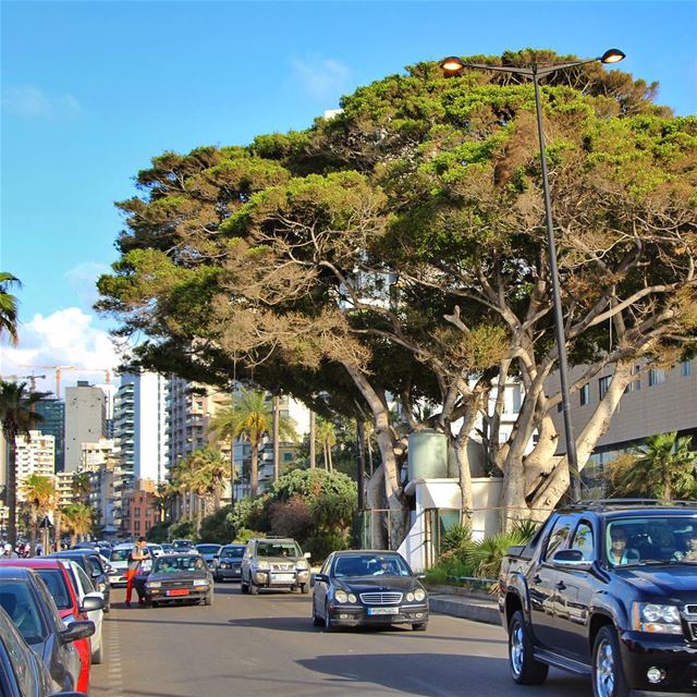 رايقة اليوم.. 🇱🇧 lebanon  lebanon_hdr   ig_lebanon   insta_lebanon ... (Manara Beirut)