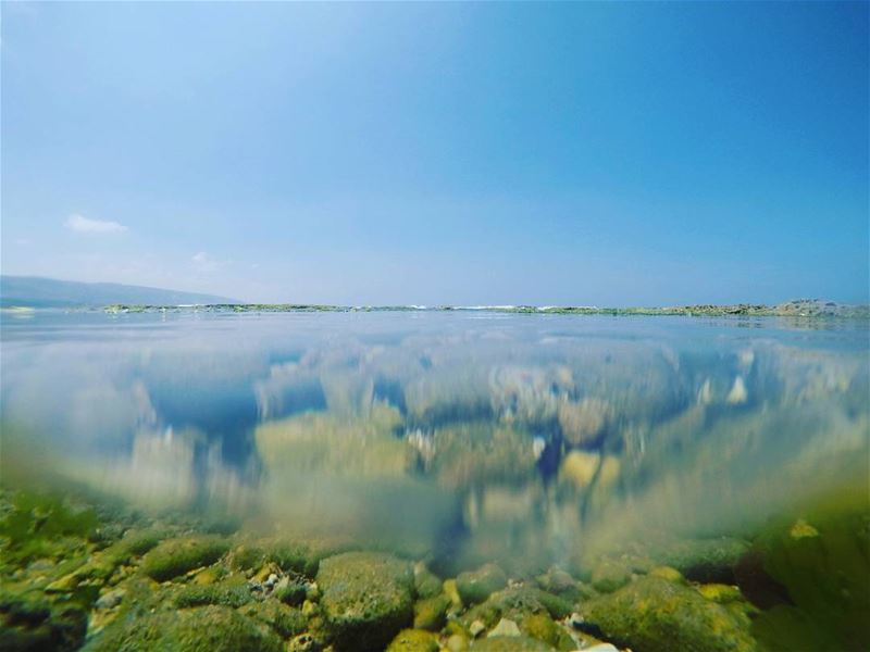 ربيع...  TripoliLB  lebanon  insta_lebanon  instalebanon  nature ... (Corniche El Mina Tripoli)