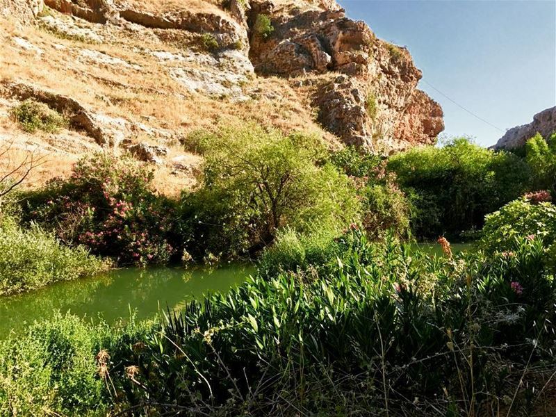 سحر البقاع (بعدسة "لبنان 24"). . . Lebanon  lake  Bekaa   instalebanon ...