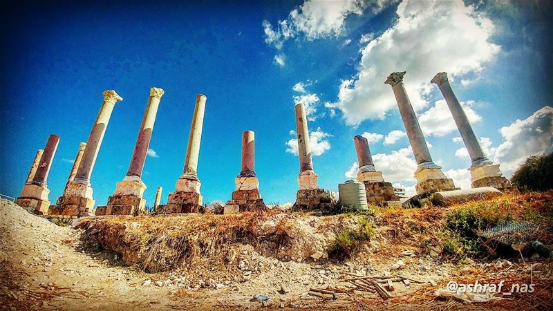 شجر أراضيك سواعد أهلي شجّرواوحجار حفافيك وجوه جدودي الـ عمّروا...وعاشوا ف (Tyre, Lebanon)